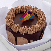 Chocolate Lunchbox Cake - By Secrets 