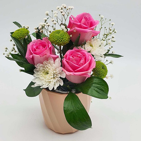 Roses pink pot