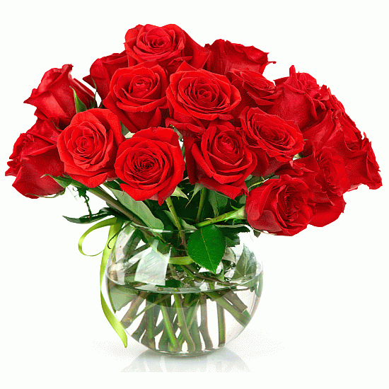 20 Red Roses